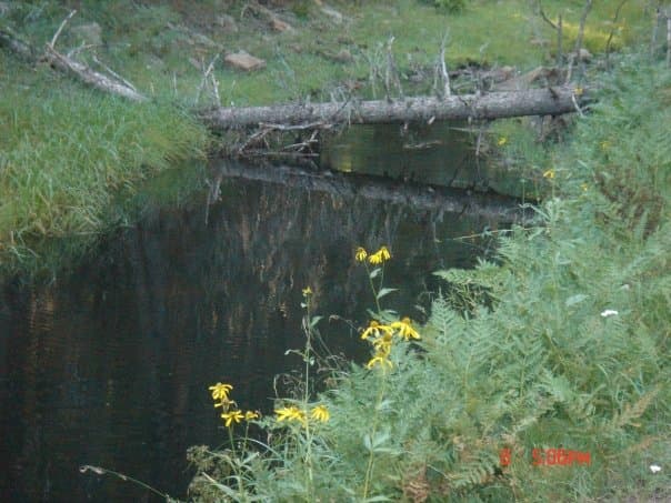 Greer AZ Luxury Tourism Marketing - Premium SEO & Vacation Rental Marketing - Call 928-892-5233