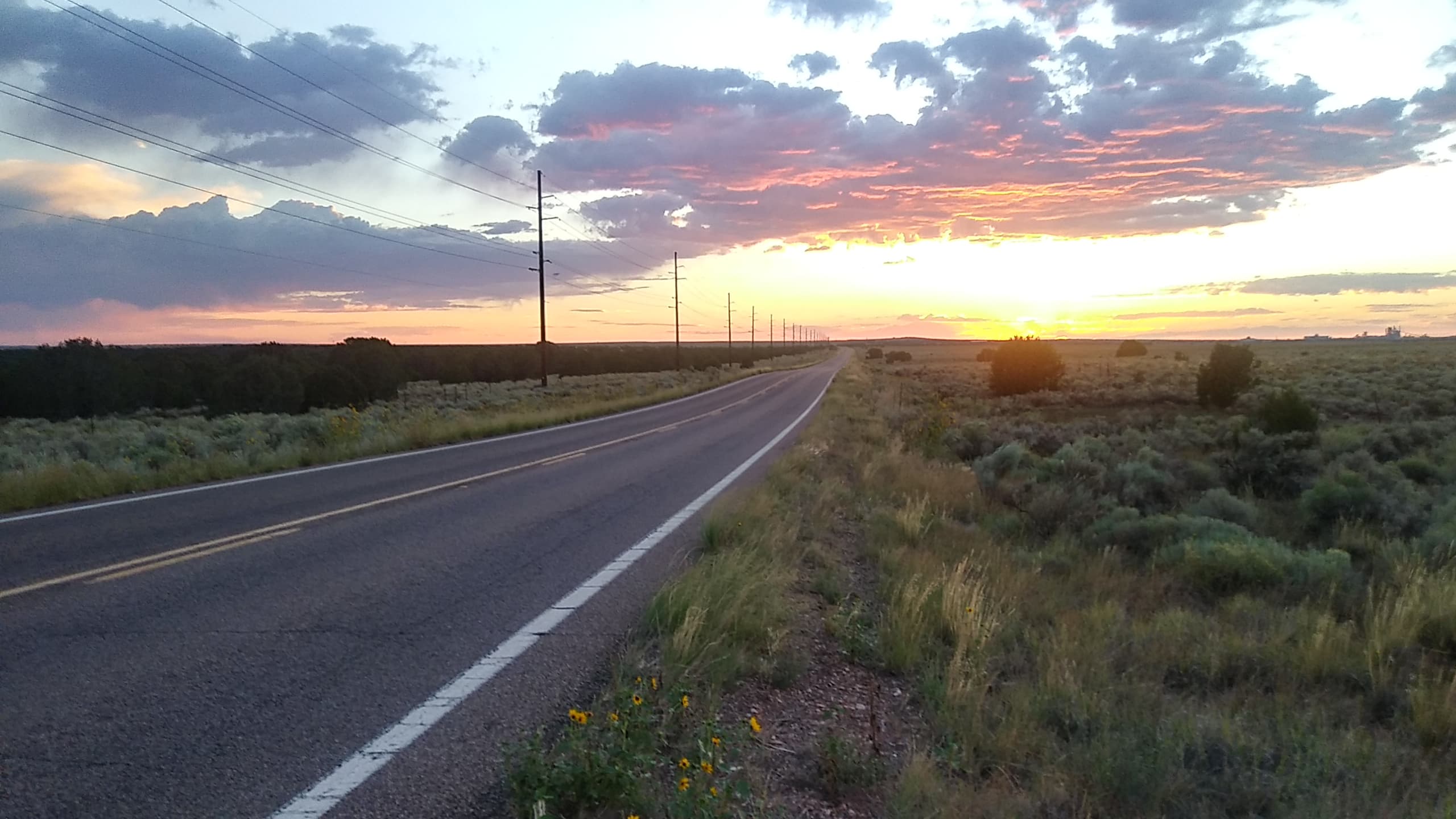 St. Johns AZ Digital Marketing - Apache County SEO & Professional Services Marketing - 928-892-5233